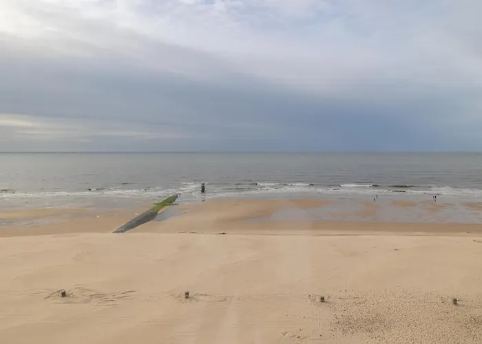 Bel Air - Modern With Seaview T8